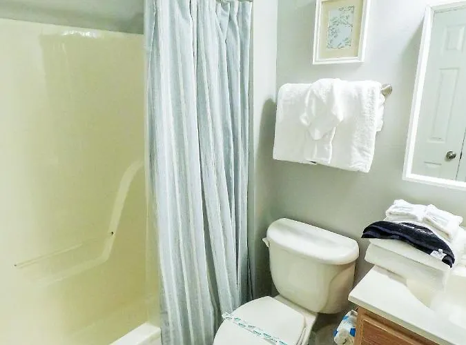 Duplex Allows For One Or Both Sides To Be Rented! Suitable For Small Or Large Families!